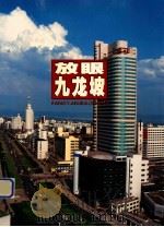 放眼九龙坡 1998 PDF电子版封面 重庆市九龙坡区城乡建设领导小组编辑
