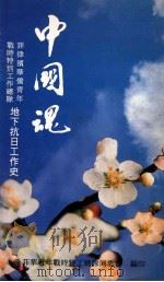 中国魂  菲律宾华侨青年战时特别工作总队地下抗日工作史   1990  PDF电子版封面     