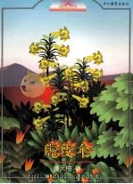 虎皮伞 1996 PDF电子版封面 7543426986 董天柚著