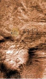 御选四朝诗  御选明诗卷  第23-24（1709 PDF版）