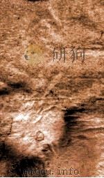 御选四朝诗  御选明诗卷  第39-40（1709 PDF版）