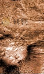 御选四朝诗  御选明诗卷  第41-42（1709 PDF版）