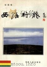 西海行旅   1996  PDF电子版封面  7225009354  祝咸禄著 