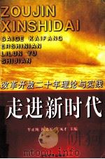 走进新时代  改革开放二十年的理论与实践   1999  PDF电子版封面  7801152336  牟正纯等主编 
