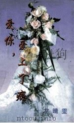 爱你，爱上了瘾   1999  PDF电子版封面  7806695583  左晴雯著 