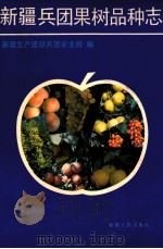 新疆兵团果树品种志   1991  PDF电子版封面  7228015827  新疆生产建设兵团农业局编 
