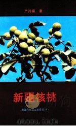 新疆核桃   1994  PDF电子版封面  7537207402  严兆福著 