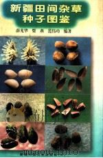 新疆田间杂草种子图鉴 1999 PDF电子版封面 7537216320 薛光华等编著