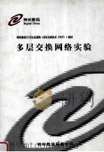 多层交换网络实验（ PDF版）