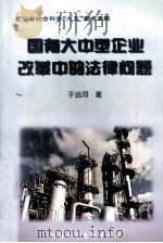 国有大中型企业改革中的法律问题 1997 PDF电子版封面 7503517042 于远河著