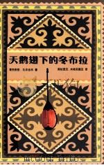 天鹅翅县的冬布拉 PDF电子版封面 肯杰别克·扎尔合木著;库拉西汉·木哈买提汉译