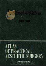 实用美容外科手术图谱 1994 PDF电子版封面 7810226452 荣国华编