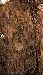 文章正宗复刻 2 1864 PDF电子版封面 (宋)真德秀辑