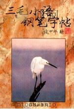 三毛小语钢笔字帖 1994 PDF电子版封面 7805950555 张文海书