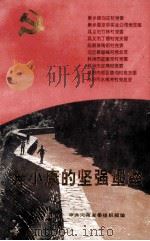 奔小康的坚强堡垒 1994 PDF电子版封面 中共河南省委组织部编