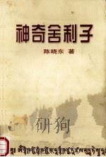 神奇舍利子 PDF电子版封面 陈晓东著