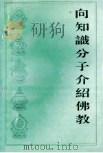 向知识分子介绍佛教 1994 PDF电子版封面 于凌波著