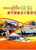 中国七夕文化名镇 望牛墩重点工程巡礼 PDF电子版封面 曾悦主编