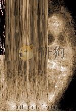 禅的梦:人生的顿悟与回味 1992 PDF电子版封面 7805464715 吴言生著;穆子,陈正插图