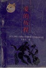 爱的历程 1989 PDF电子版封面 7208011415 王永云著