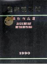 金色的东莞 摄影作品选 1990 PDF电子版封面 岑诒立,陈锦波责任编辑