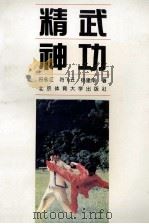 精武神功 1994 PDF电子版封面 7810039210 符永江等编著