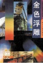 金色浮雕 1993 PDF电子版封面 722002228X 王春才主编;黄少云,陈光华,李洪烈等副主编