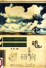 风云魂 1995 PDF电子版封面 750172329X 柯楠主编