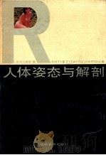 人体姿态与解剖 1989 PDF电子版封面 7535602460 陈伟生编著