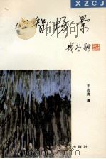 心智场景 1996 PDF电子版封面 7800749746 王志清著
