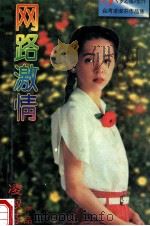 网路激情 1996 PDF电子版封面 7805277540 凌淑芬著