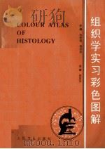 组织学实习彩色图解   1998  PDF电子版封面  7117018704  胡登焜，杨状来主编；高英茂主审 