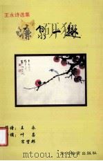 廉泉一趣 PDF电子版封面 9628182770 王永著