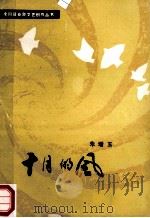 十月的风 1988 PDF电子版封面 朱增玉著