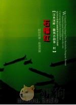 汉水河畔·徽风古韵第一村  石榴红  武汉市东西湖区慈惠街道办事处农村新貌（ PDF版）