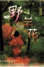 野兰花 下 1995 PDF电子版封面 753870938X (深圳)文夕