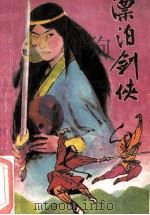 漂泊剑侠   1988  PDF电子版封面  7504000388  维芳华伟著 