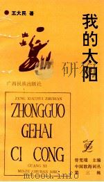 我的太阳   1992  PDF电子版封面  7536319320  大民著 