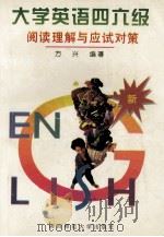大学英语四六级阅读理解与应试对策   1996  PDF电子版封面  7561313519  方兴编著 