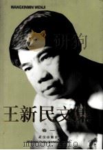 王新民文集  卷1  抒情诗   1999  PDF电子版封面  7543019787  王新民著 
