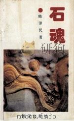 石魂 1994 PDF电子版封面 7543013061 陈泽民著