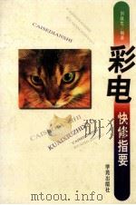 彩电快修指要   1997  PDF电子版封面  7507712257  刘战生编著 