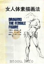 女人体素描画法 1990 PDF电子版封面 7536801912 席帕德著;吕安未,杜义盛译