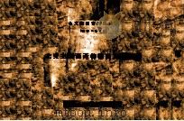北支主要畜产物输出入统计表 1939 PDF电子版封面 满铁北支事务局调查部