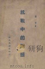 抗战中的问题 1938 PDF电子版封面 叶青著