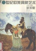 菲加里 1995 PDF电子版封面 7805802491 啸声编