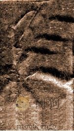 国朝耆献类征初编  卷333、334     PDF电子版封面    （清）李桓辑 