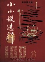小小说选粹100篇   1990  PDF电子版封面    扈其震主编 