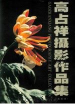 高占祥摄影作品集 菊花卷 PDF电子版封面 7503917547 罗扬,庄建闽主编;高健生,张源副主编