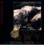 杨国平  图画作品   1999  PDF电子版封面  7102020953  王秋主编；刘大吉，刘春生，王双贵副主编 